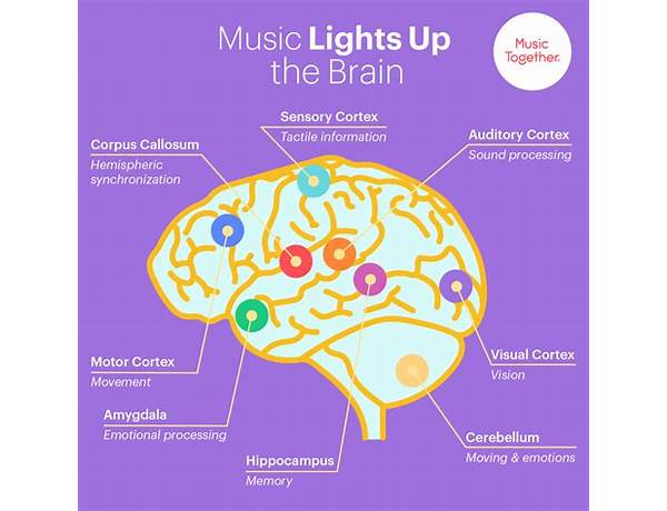 Produced: The Brain, musical term