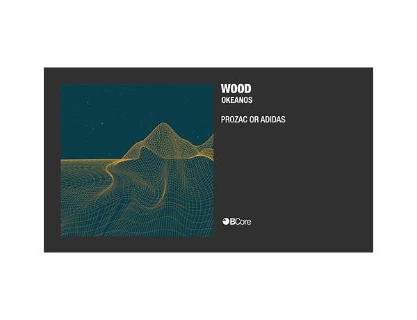 Prozac or Adidas en Lyrics [Wood (Spain)]