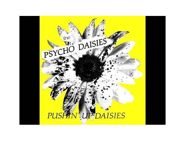 Psycho Daisies en Lyrics [The Yardbirds]