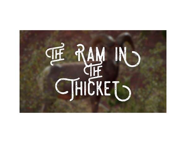 Ram In The Thicket en Lyrics [Craig Finn]