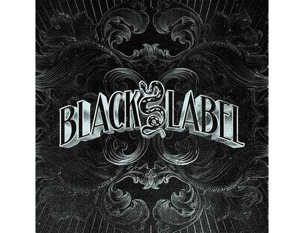 Released: Never Say Die: Black Label, musical term