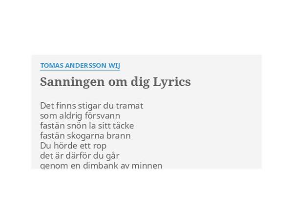 Sanningen om dig sv Lyrics [Tomas Andersson Wij]