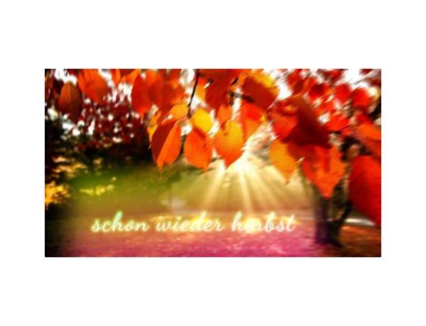 Schon wieder Herbst de Lyrics [Saltatio Mortis]