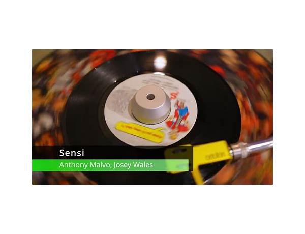 Sensi en Lyrics [Anthony Malvo]