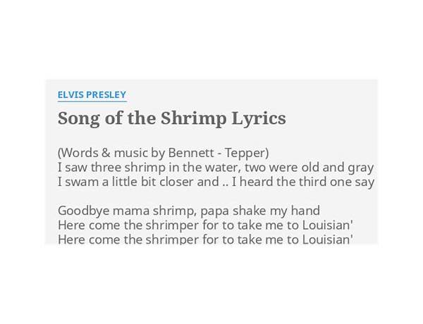 Shrimp Song en Lyrics [0rcXD]