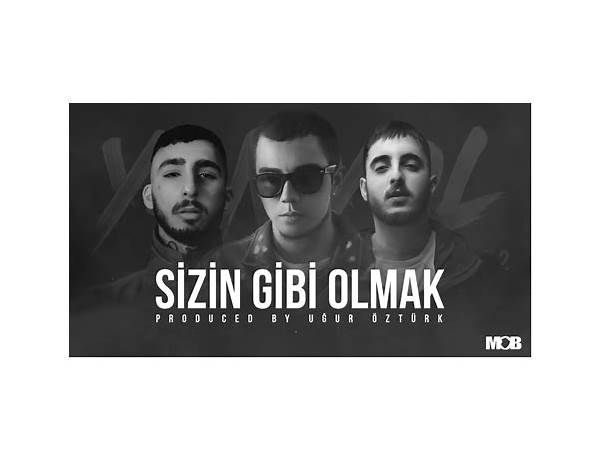 Sizin Gibi Olmak tr Lyrics [Vio]