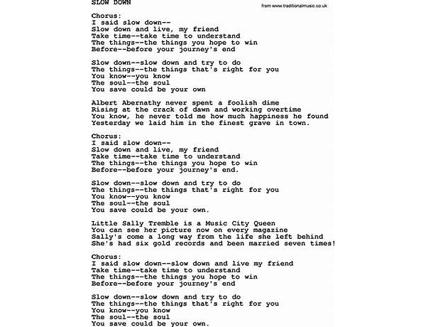 Slow Down en Lyrics [Lonely In The Rain]