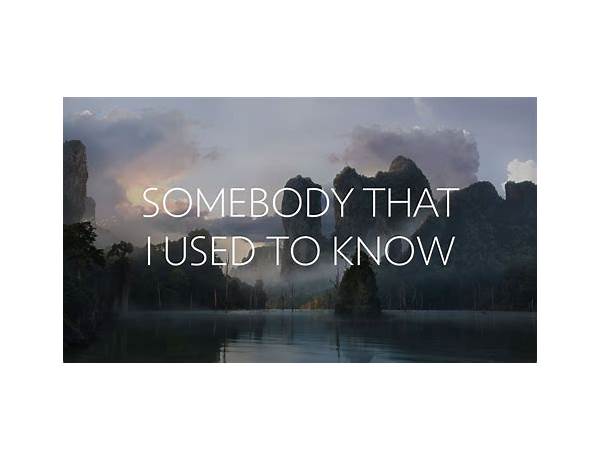 Somebody That I Used To Know en Lyrics [32Stitches & Salvo]