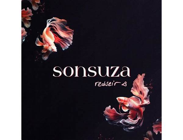 Sonsuza tr Lyrics [Redseir]