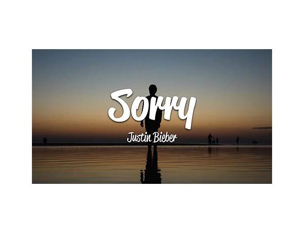 Sorry en Lyrics [David Wimbish]