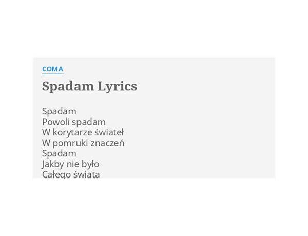 Spadam pl Lyrics [IRA (POL)]