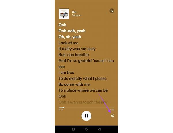 Spotify pl Lyrics [HvmanoCZ]