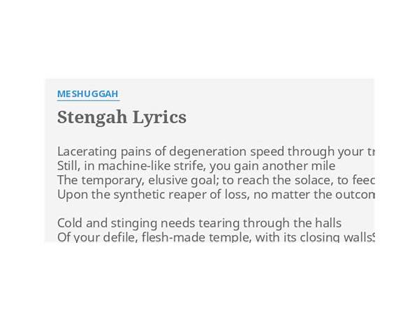 Stengah en Lyrics [Meshuggah]