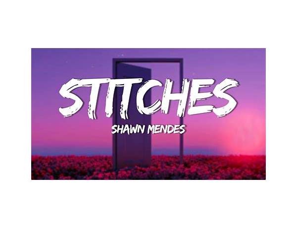 Stitches en Lyrics [Alex Goot]