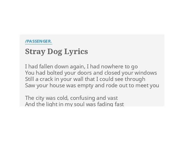 Stray Dog en Lyrics [Horse Jumper of Love]