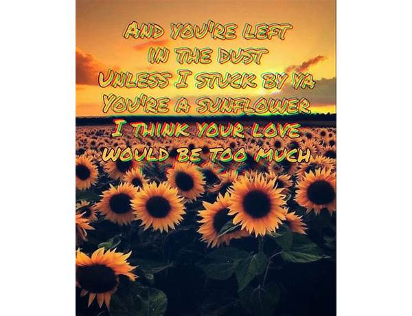 Sunflower en Lyrics [Kaala Shaw]