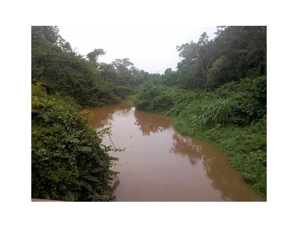 Tano River more polluted than it was a year ago – Erastus Asare Donkor