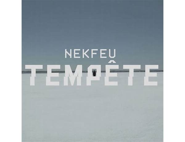 Tempête fr Lyrics [Nekfeu]