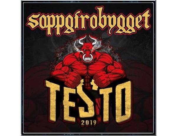 Testo 2019 en Lyrics [Soppgirobygget]