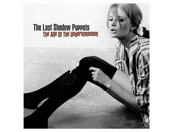 The Age of the Understatement en Lyrics [The Last Shadow Puppets]