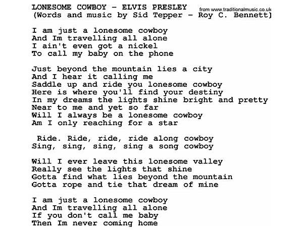 The Lonesome Cowboy Radio Show en Lyrics [Bill Nelson]