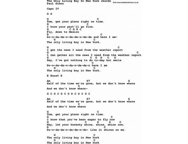 The Only Living Boy In New York en Lyrics [Rose Melberg]