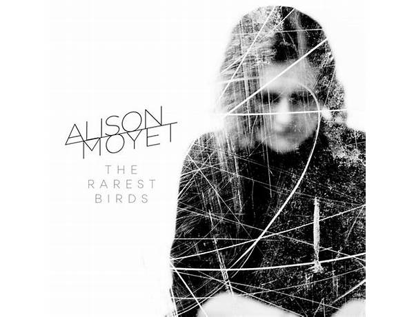 The Rarest Birds en Lyrics [Alison Moyet]