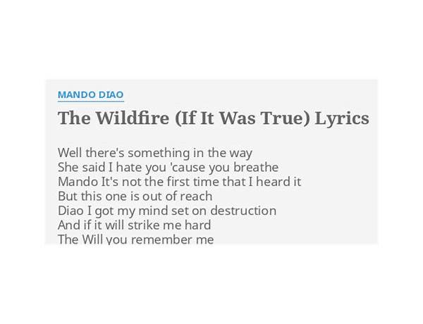 The Wildfire en Lyrics [Mando Diao]