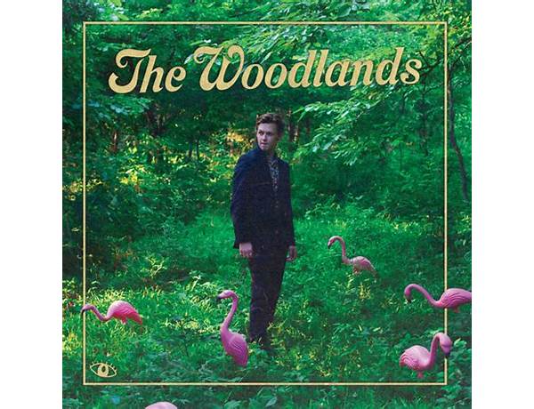The Woodlands en Lyrics [Pony Pants]