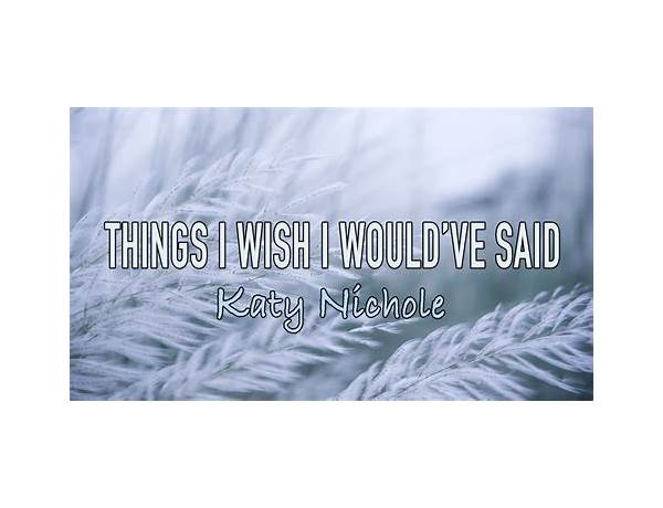 Things I Would Love to Have Said en Lyrics [ITCHY]