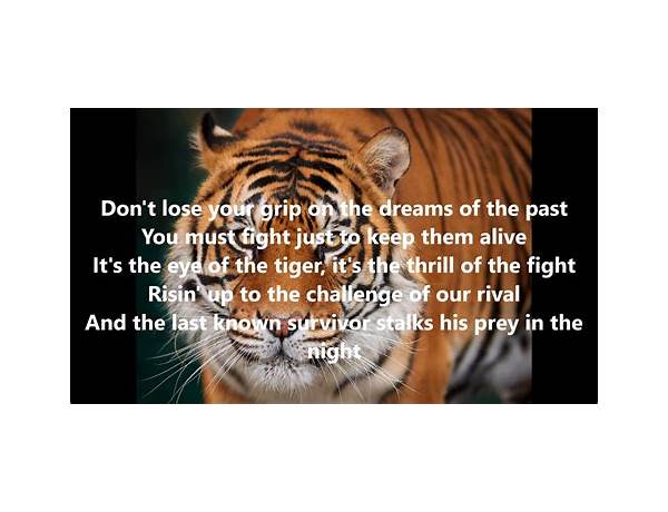 Tiger Song en Lyrics [Pinc Louds]