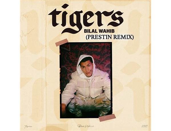 Tigers (Remix) Is A Remix Of: Tigers By Bilal Wahib, musical term