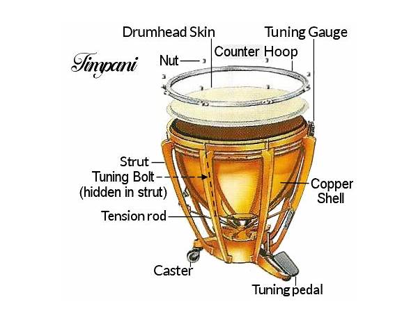 Timpani: Stephen Henderson, musical term