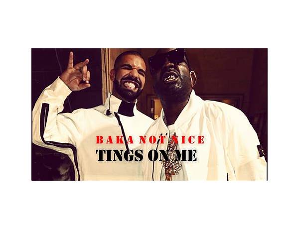 Tings on Me en Lyrics [Baka Not Nice]