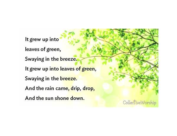 Tiny Seed, A Leaf, A Tree en Lyrics [Setec]