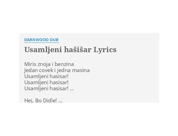 Usamljeni hašišar bs Lyrics [Darkwood Dub]