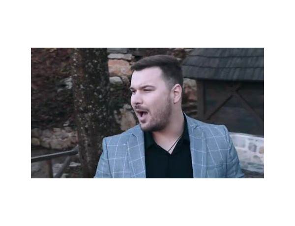 Video Artist: Leon Božić, musical term