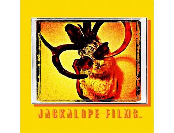 Video Director: Jackalope, musical term