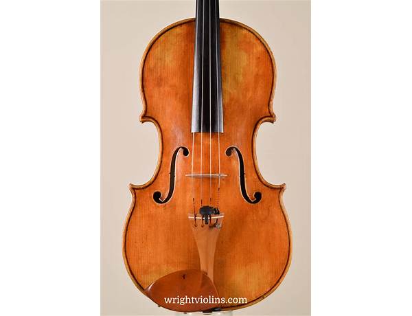 Violas: Gareth Nuttycombe, musical term