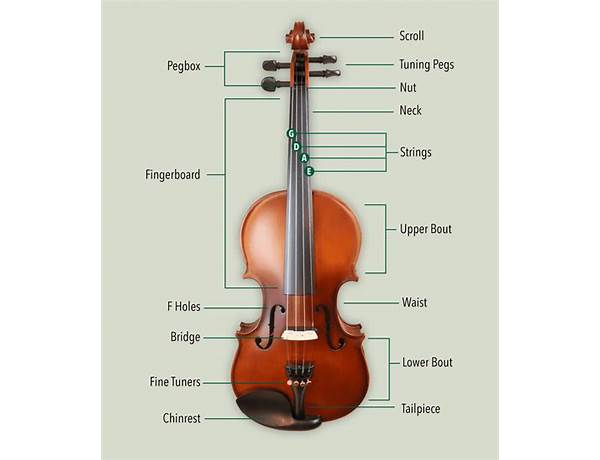 Violin: Archimiste, musical term