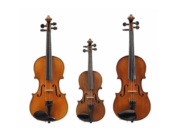 Violin: Frances Tidey, musical term