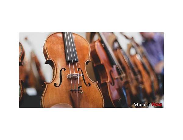 Violin: John Wittenberg, musical term