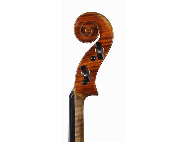 Violinos: Antonela Pareschi, musical term