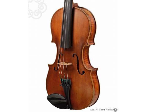 Violins: John Peter DeVoogt, musical term