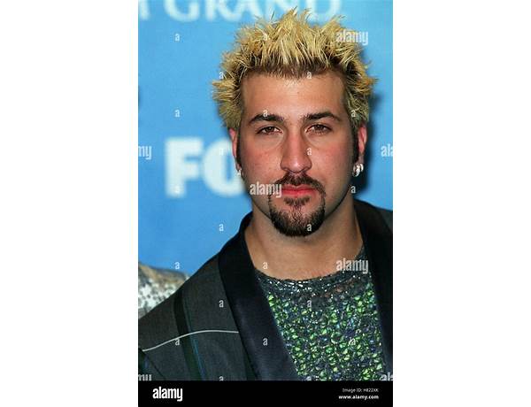 Vocals: Joey Fatone, musical term