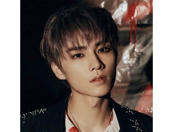 Vocals: XIAOJUN (NCT), musical term