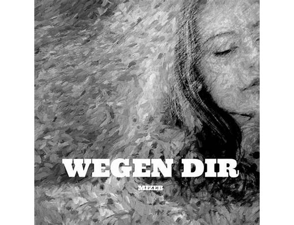 Wegen dir de Lyrics [MiZeb]