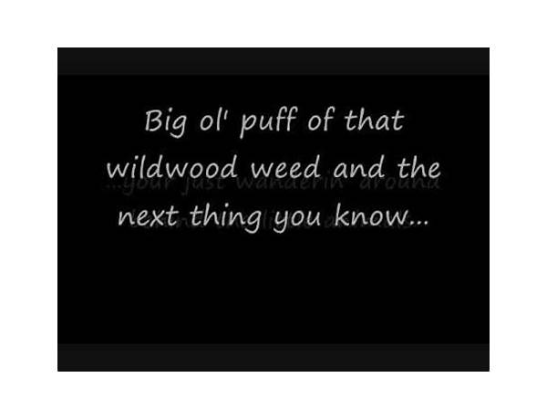 Wildwood Weed en Lyrics [Jim Stafford]