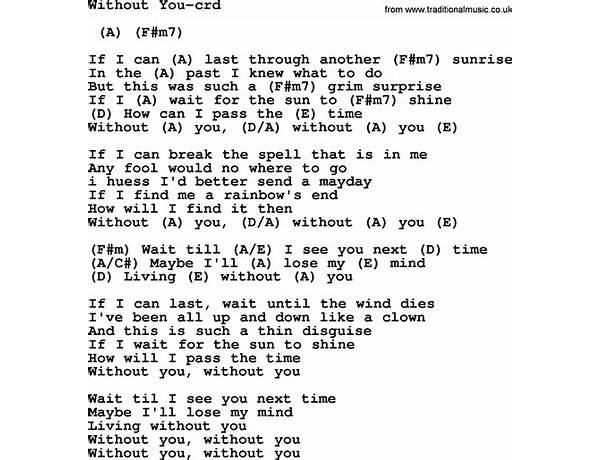 Without You en Lyrics [Baelondra]