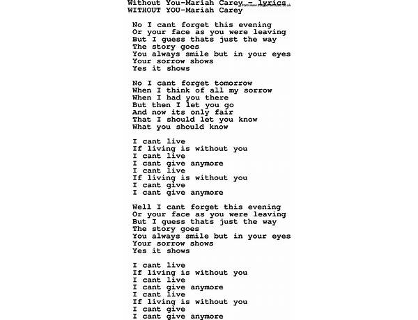 Without You en Lyrics [Biz Colletti]